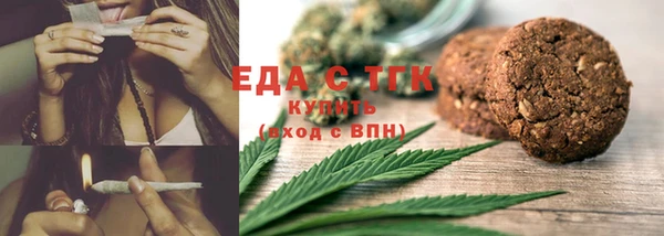 индика Абаза