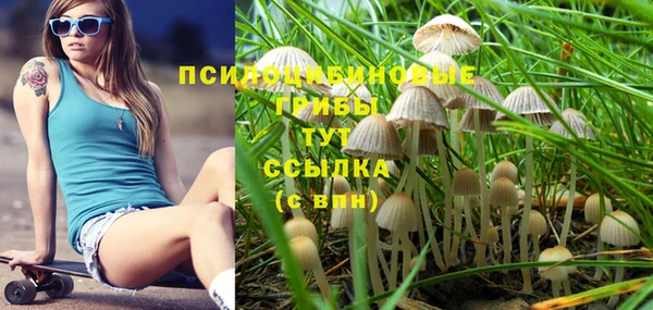 спайс Пестово
