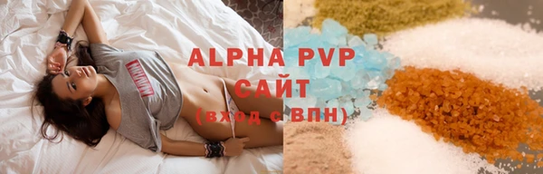 индика Абаза
