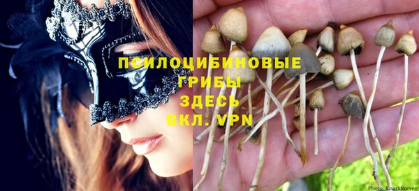 спайс Пестово