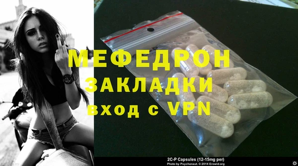 индика Абаза