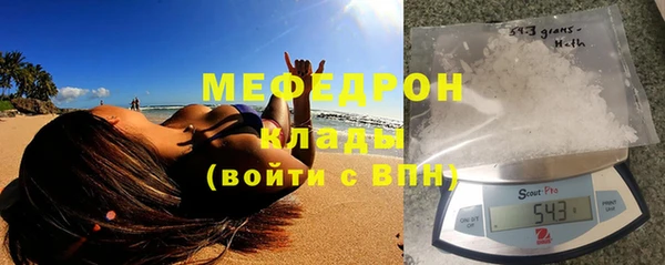 индика Абаза