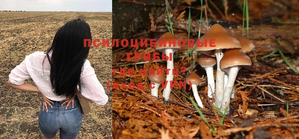 прущая мука Переславль-Залесский