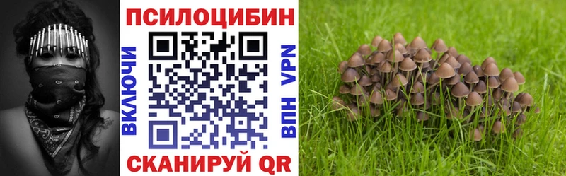 что такое   Энем  Галлюциногенные грибы GOLDEN TEACHER 
